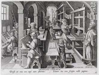 Le développement de l